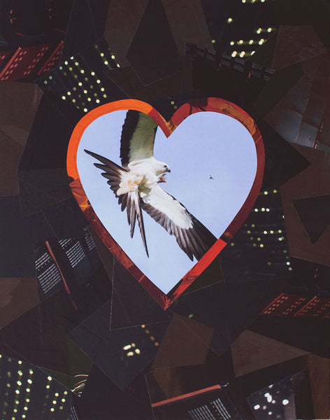 Cassandra Tondro, "Spirit Bird," collage art